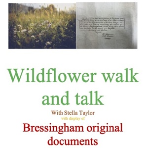 Wild Flower Walk and Talk poster